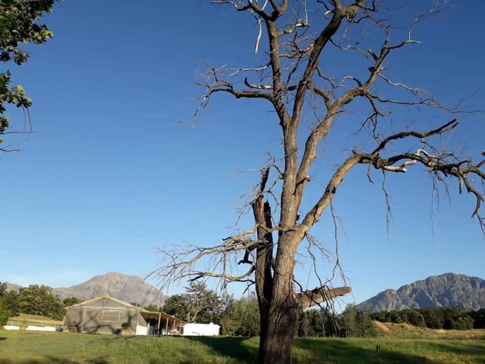 Klipfontein Rustic Farm & Camping タルバ エクステリア 写真