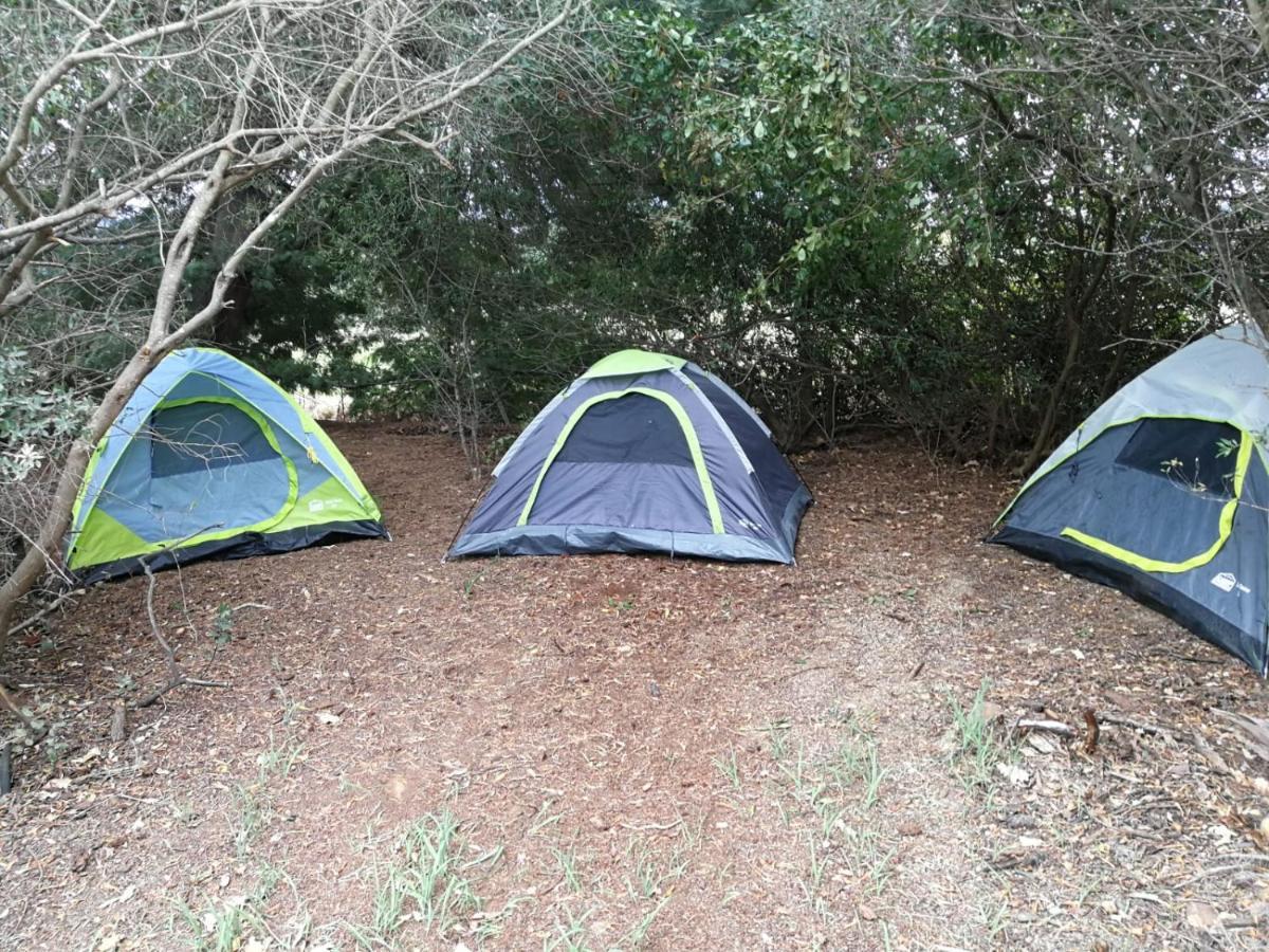 Klipfontein Rustic Farm & Camping タルバ エクステリア 写真