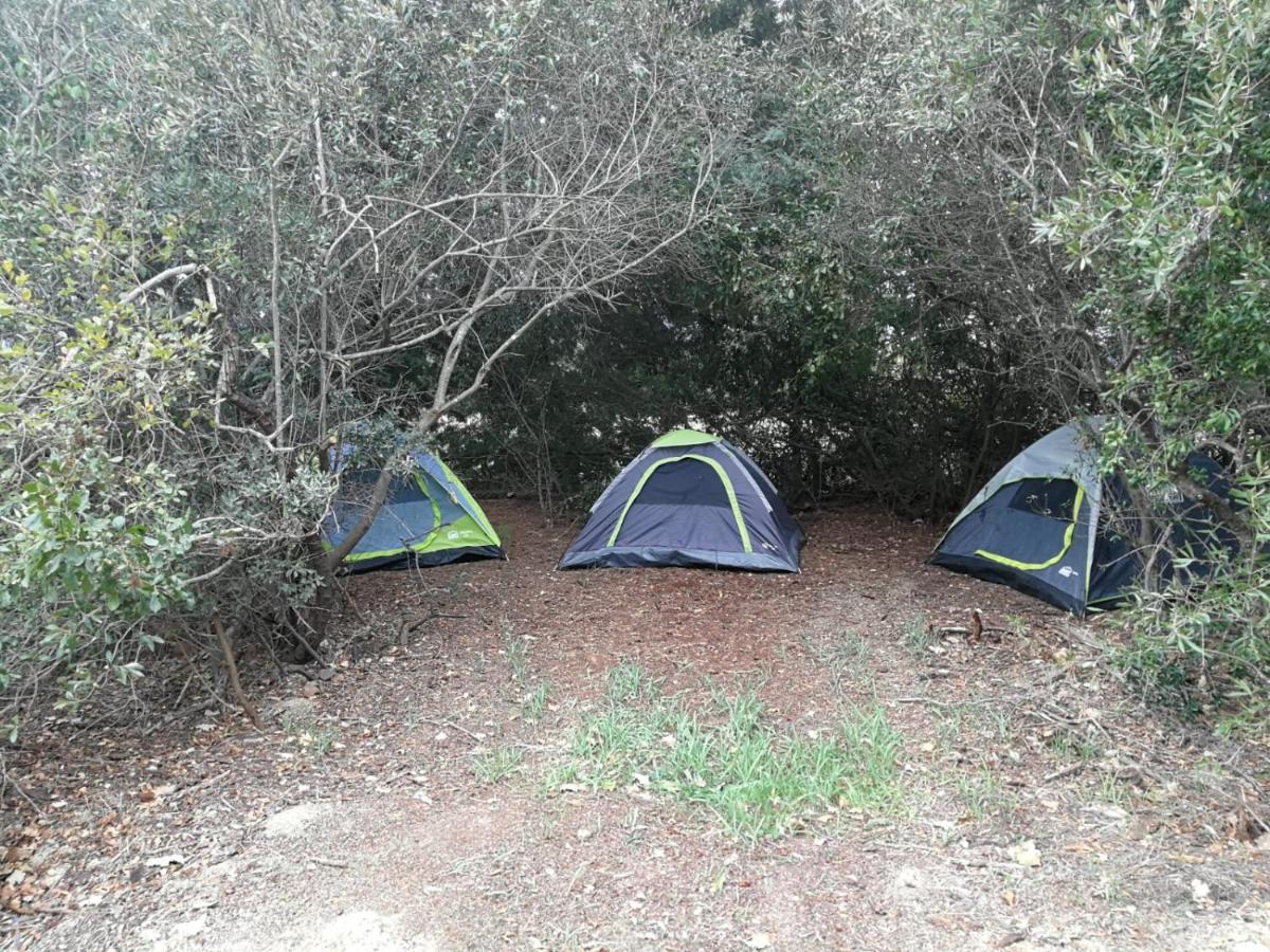 Klipfontein Rustic Farm & Camping タルバ エクステリア 写真