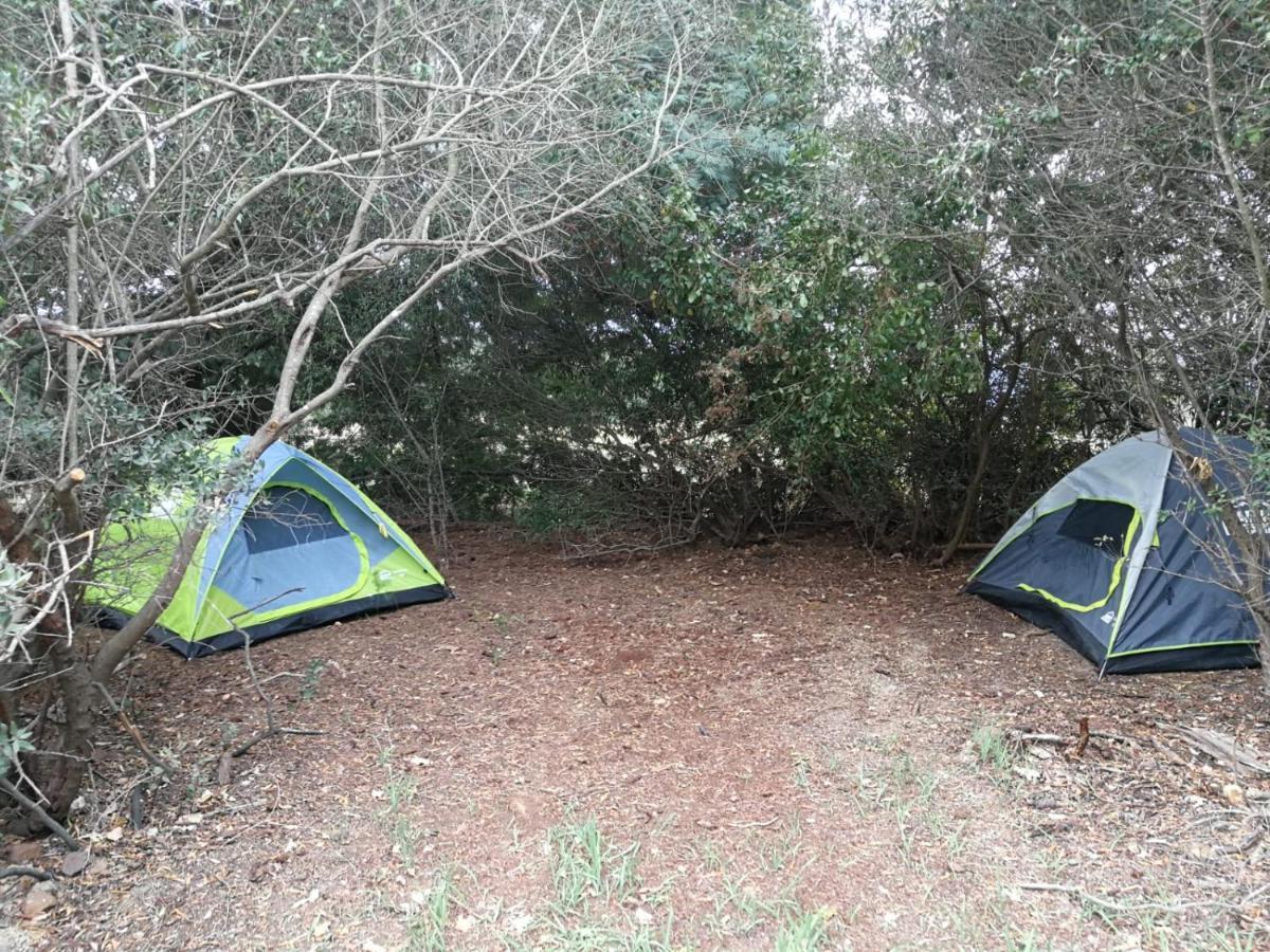 Klipfontein Rustic Farm & Camping タルバ エクステリア 写真