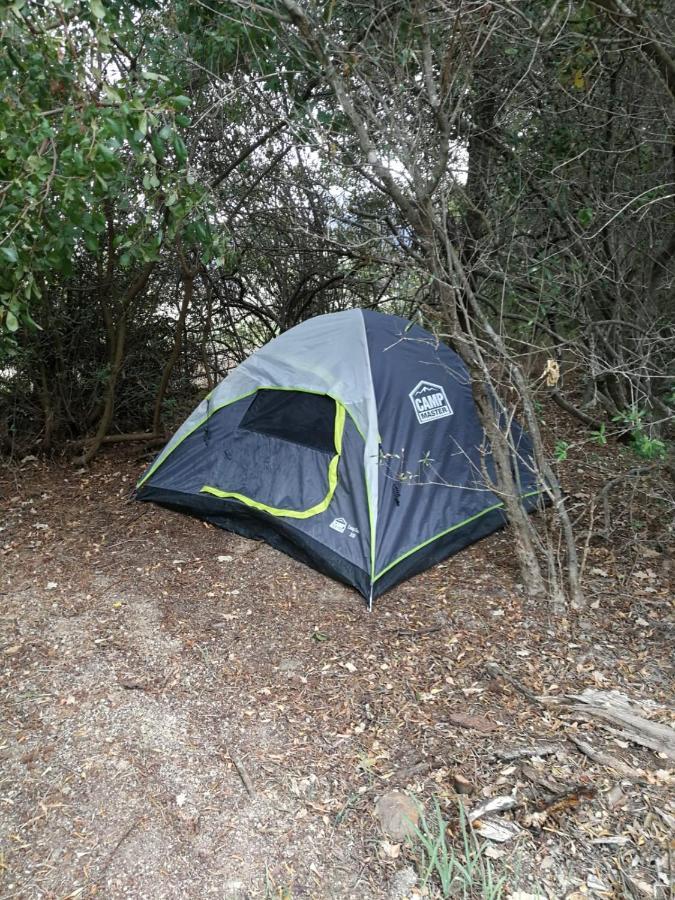Klipfontein Rustic Farm & Camping タルバ エクステリア 写真