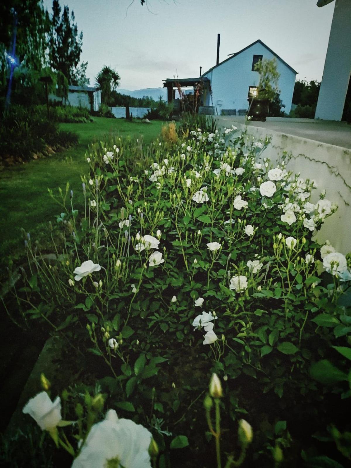 Klipfontein Rustic Farm & Camping タルバ エクステリア 写真